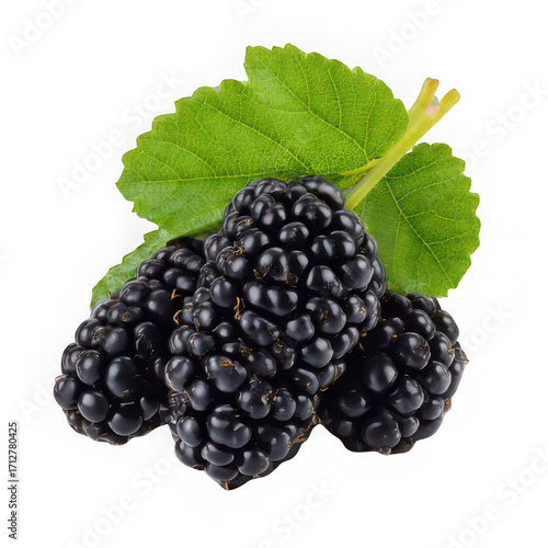 black mulberries with leaf isolated on white background
