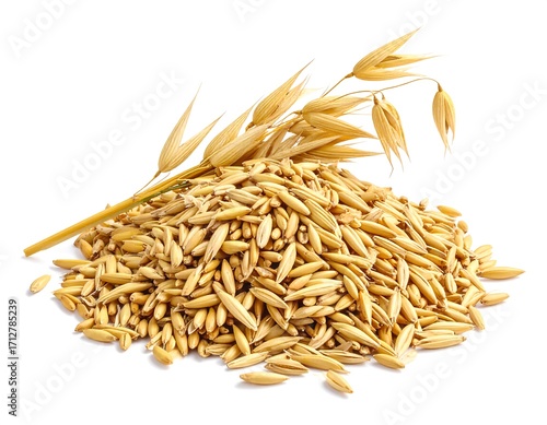 Pile of oat grains with a sprig