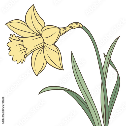 A daffodil icon with a bright trumpet-shaped center and six petals.