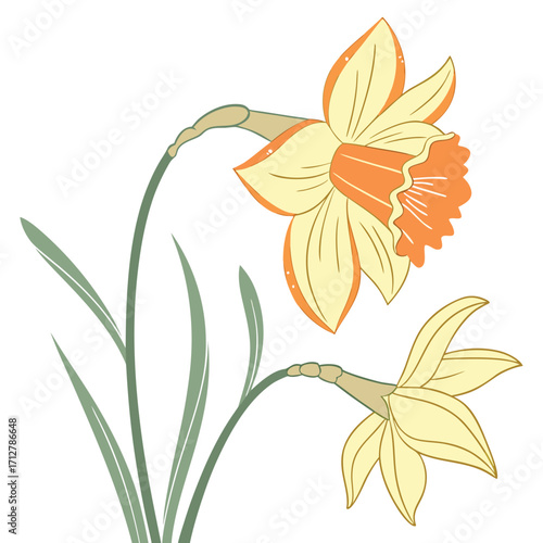 A daffodil icon with a bright trumpet-shaped center and six petals.