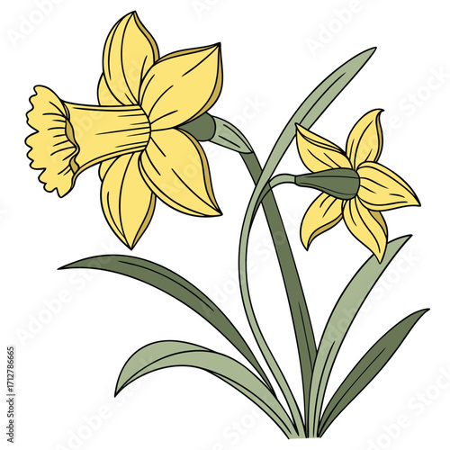 A daffodil icon with a bright trumpet-shaped center and six petals.