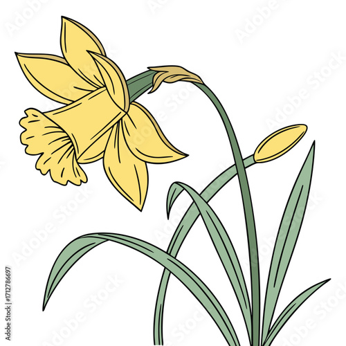 A daffodil icon with a bright trumpet-shaped center and six petals.