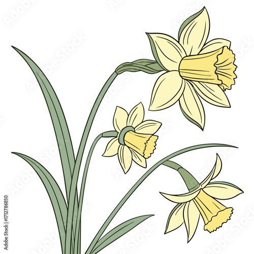 A daffodil icon with a bright trumpet-shaped center and six petals.
