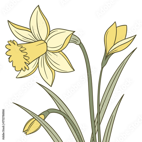 A daffodil icon with a bright trumpet-shaped center and six petals.