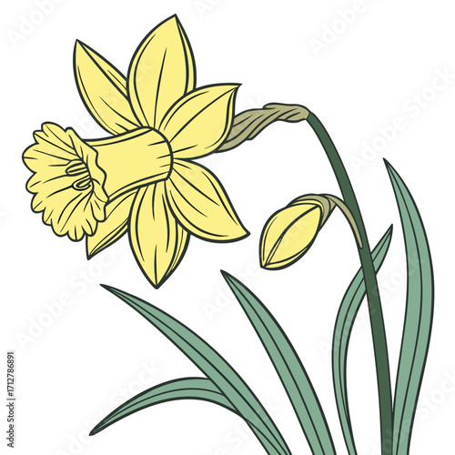 A daffodil icon with a bright trumpet-shaped center and six petals.