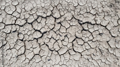 Dried cracked earth (2)