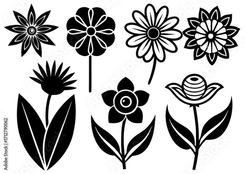 Black and white floral designs create a simple yet elegant botanical pattern