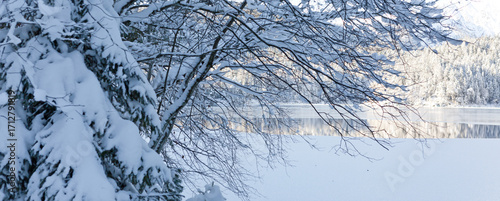 Winter trees and mountain reflection in the lake