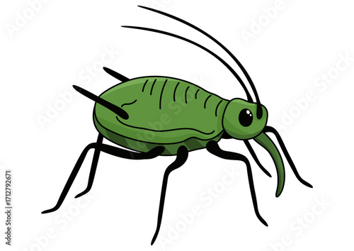 Green aphid insect drawing. Pest control and garden damage concept. Illustration for educational material.