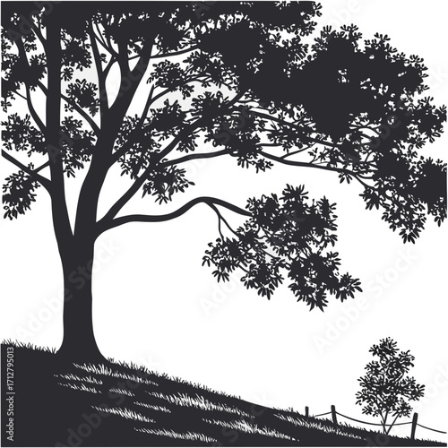Silhouette of a large deciduous tree on a grassy hill with a smaller tree and fence in the background
