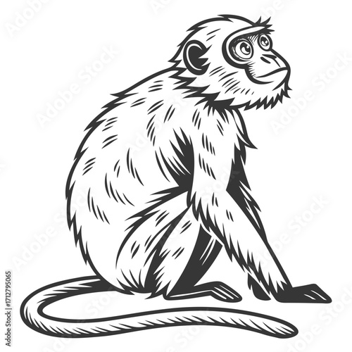 Wallpaper Mural Stylized black and white illustration of a curious monkey sitting and looking upwards with a long tail Torontodigital.ca