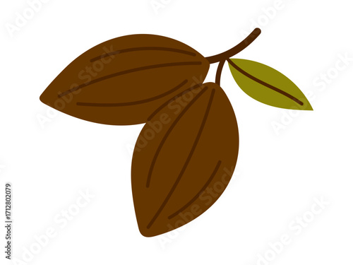 Vector cocoa pod with green leaf isolated on white. Natural chocolate ingredient illustration for gourmet packaging, dessert menu, bakery and branding.