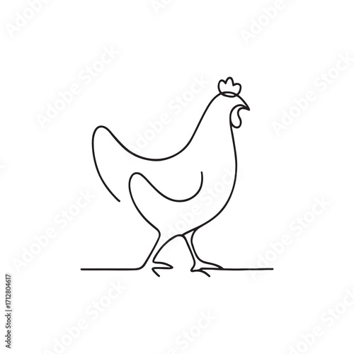 vector illustration of a chicken