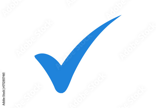 Blue check mark tick icon vector