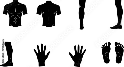 Organs icon set in line style. Collection of part of human bodies linier icons. including head, eyes, ear, mouth, heart, bone, teeth, brain, hair, etc. Editable stroke