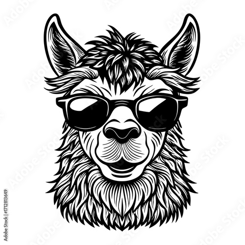 Llama face