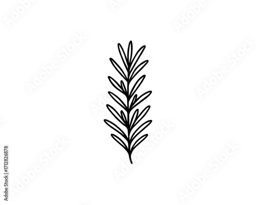 Minimalist Rosemary Sprig – Black and White Botanical Line Art