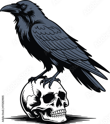 Dark raven perched on human skull illustration, gothic horror design, spooky halloween art, scary crow, death symbol, vintage tattoo style
