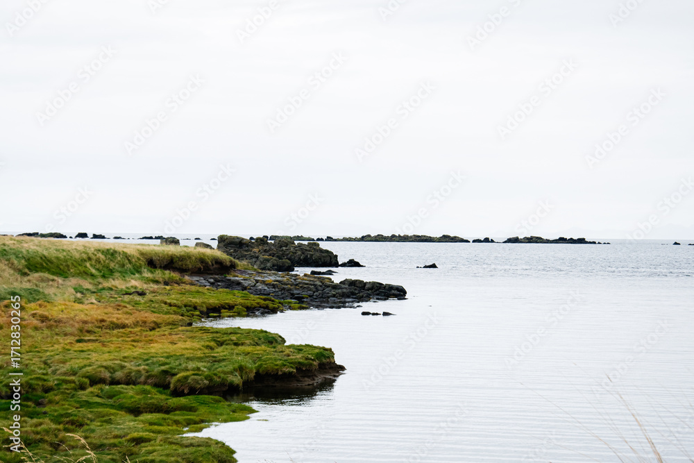 Obraz premium Tranquil coastal landscape with grassy shore and rocks in Iceland