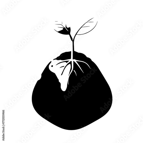 Black and White Illustration of a Sprouting Plant with Roots and Leaves.