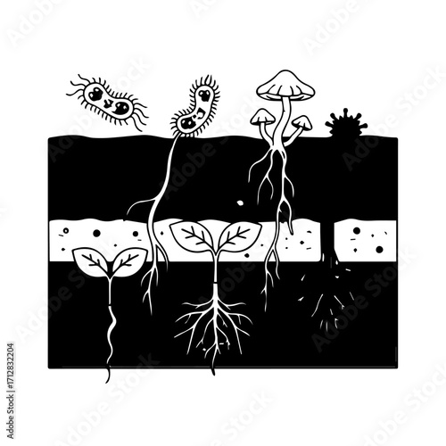 Black and White Illustration of Soil Ecosystem with Plants Fungi and Microbes.