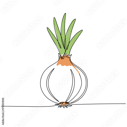 Onion with green sprouts drawn in minimalistic style  