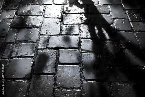 Shadow of a person on a wet cobblestone street at night with light reflecting off stones