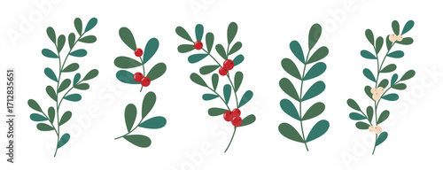 Mistletoe Leaves or Branch Set with red and White Berries on transparent background. Branches and Leaves of Plants with Red Berries. Vector Illustration. Christmas Element Decor.