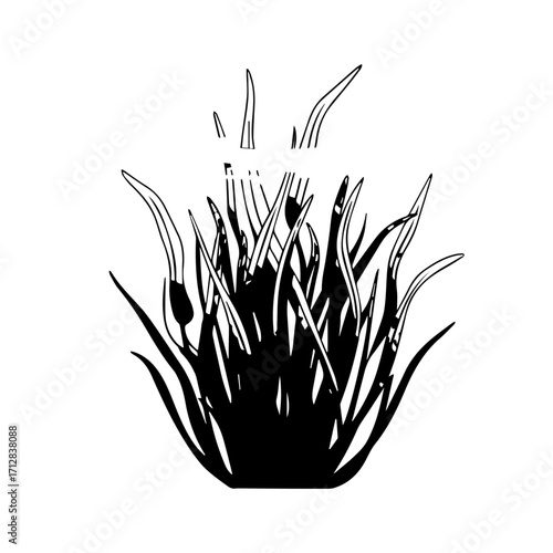 Black and White Stylized Illustration of a Bushy Textured Grass Clump.