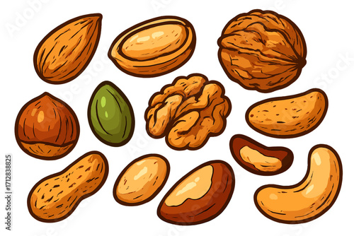 Set of nuts vector illustration. Collection of assorted nuts icons. Healthy food snack. Cartoon drawing of almond, walnut, peanut, hazelnut, cashew, Brazil nut, pistachio.