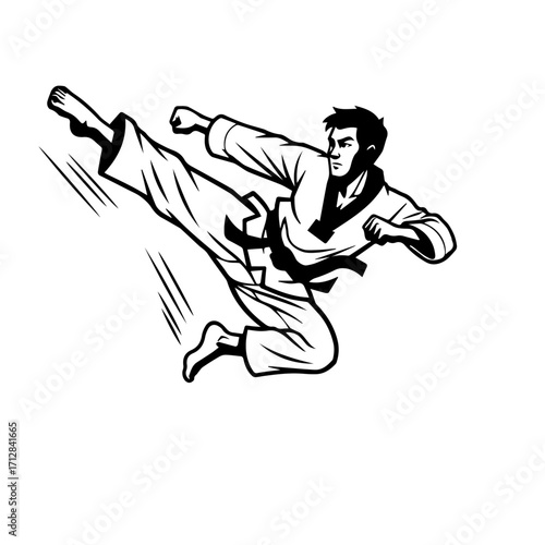 Dynamic Black and White Illustration of a Martial Arts Practitioner Performing a High Kick 1.