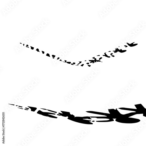 Dynamic black fragmented stripe graphic with a long distorted shadow effect.