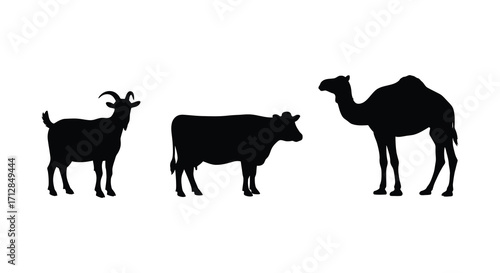 A goat cow and camel stand together as black shapes silhouette