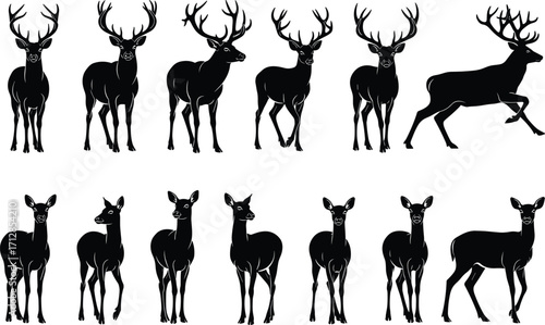 Silhouette deer vector set, stag and doe wildlife illustration, antler animal poses, forest fauna clipart, hunting, nature, rustic design