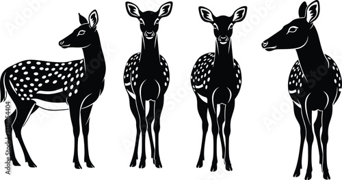Spotted deer vector illustration, symmetrical wildlife art, elegant animal silhouette, black and white forest design, graceful chital group, nature-themed stock graphic