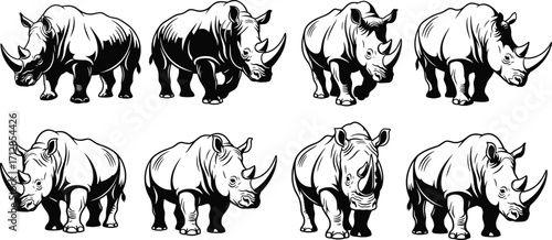 Wild rhinoceros animal set, black and white safari wildlife drawings, strong rhino mascot collection, detailed vector illustration