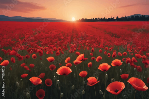 Vibrant Red Poppy Field at Sunset Landscape 