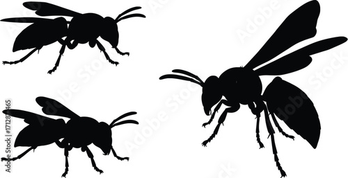 Black Silhouette Bees as Vectors of Pollination in Nature, High-Resolution Illustration in a Minimalistic Environment