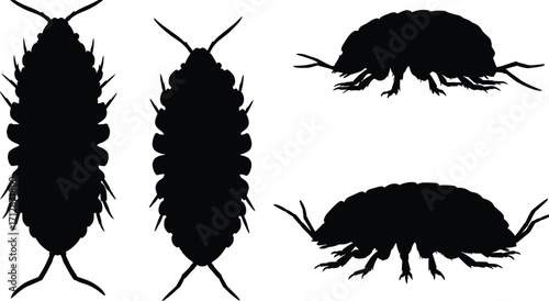 Black Silhouetted Vectors of Diverse Species in Nature, Graphic Artwork, Capturing the Essence of Biodiversity