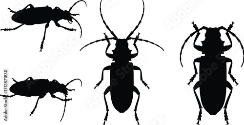 High-Quality Black Silhouette Illustrations of Various Insects in Artistic Style for Graphic Design and Environmental Context