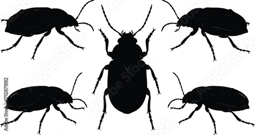 Vector Insect Silhouettes Displaying Diversity in a Graphic Illustration, Ideal for Scientific and Educational Purposes in Nature Study Environments