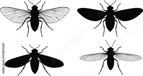 Vector Graphic of Diverse Insect Species in Nature, High-Resolution Artwork, Entomology Theme, Detailed Viewpoint for Education and Research