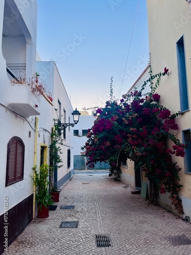 Rue typique colorée à Faro, Algarve, Portugal – maisons pittoresques et ambiance méditerranéenne
