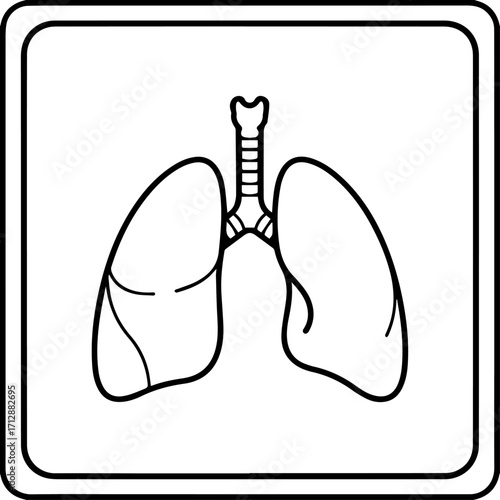 Simple Black and White Line Art Illustration of Human Lungs Anatomy.