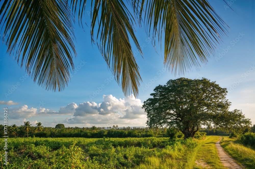 Naklejka premium Countryside scene featuring palm fronds