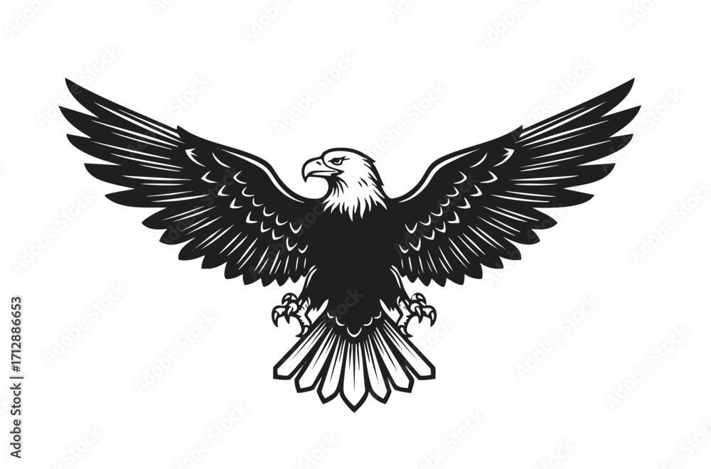 Obraz premium Bald eagle soaring in air monochrome illustration. Isolated, vector of eagle engraving style