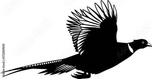 Pheasant silhouette, Flying pheasant silhouette, Pheasant SVG, Pheasant silhouette clip art, Bird silhouettes, Bird SVG, Bird clip art
