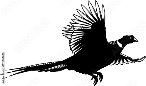 Pheasant silhouette, Flying pheasant silhouette, Pheasant SVG, Pheasant silhouette clip art, Bird silhouettes, Bird SVG, Bird clip art