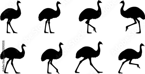 Emu silhouettes, Emu bird silhouette, Emu bird , Emu , Simple emu silhouette, Emu vector illustration