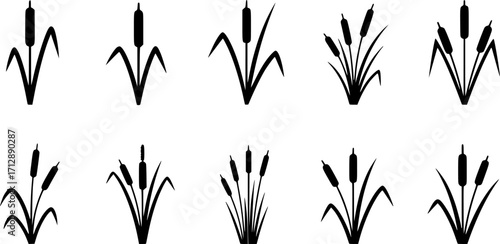 Cattail svg, Cattail silhouette, Cattail plant silhouette, Reeds and cattail silhouette, Cattail plant svg, Cattail vector set. 